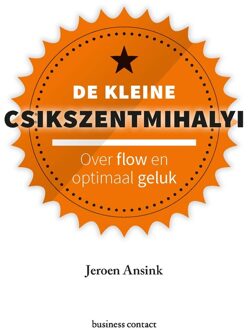 Kleine boekjes - grote inzichten - De kleine Csikszentmihalyi