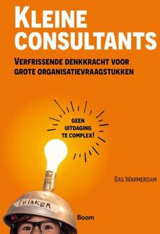 Kleine consultants -  Bas Warmerdam (ISBN: 9789024467570)