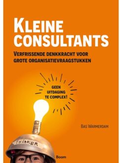 Kleine Consultants - Bas Warmerdam