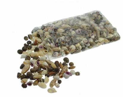 Kleine decoratie schelpen/schelpjes - zak van 3x kilo - mix kleuren - 1 a 4 cm