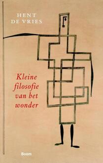 Kleine filosofie van het wonder - Boek Hent de Vries (9461053436)