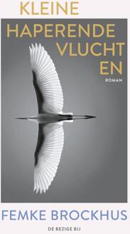 Kleine haperende vluchten