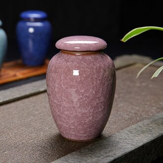 Kleine Huisdier Urn Vogel Hond Huisdier Urnen Crematie Huisdier Kistjes Begrafenis Vaas Kat Crematie As Voor Menselijk As Gemaakt Keramiek hand Geschilderd roze