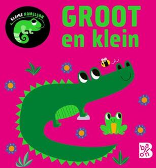 Kleine kameleon -   (ISBN: 9789403235493)