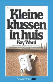 Kleine klussen in huis - Boek K. Ward (9031503959)