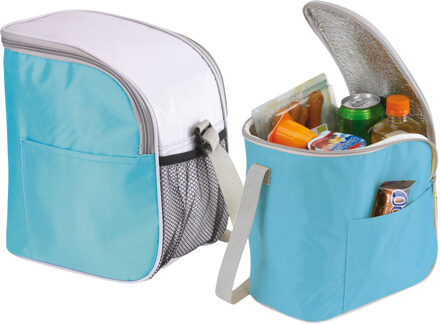 Kleine koeltas/Lunch tas model Glaciaal - 2x - 23 x 16 x 26 cm - 1 vaks - ijsblauw/grijs - 9 Liter - Koeltas