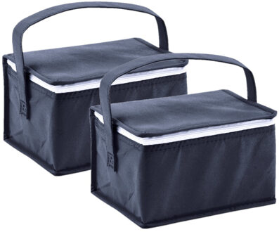 Kleine koeltas voor lunch - 2x stuks - blauw - 20 x 14 x 13 cm - 3.5 liter - Koeltassen