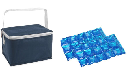 Kleine koeltas voor lunch blauw met 2 stuks flexibele koelelementen 3.5 liter