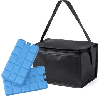 Kleine koeltas zwart voor 6 blikjes inclusief 2 koelelementen