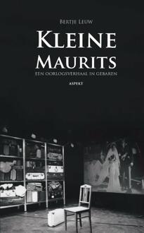 Kleine Maurits - Boek Bertje Leuw (9461536917)
