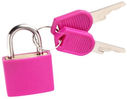Kleine Mini Sterke Stalen Hangslot Reiskoffer Dagboek Slot Met 2 Sleutels Gekleurde Plastic Case Hangslot Metalen En Plastic