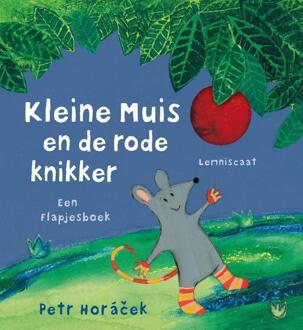 Kleine muis en de rode knikker - Boek Petr Horacek (9047709551)