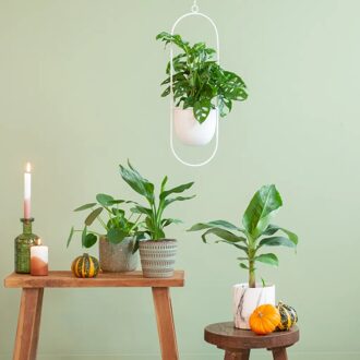 Kleine Plantenbox - P12 - 4 stuks