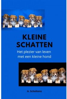 Kleine Schatten - A. Scholtens