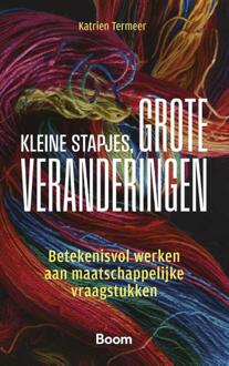 Kleine stapjes, grote veranderingen -  Katrien Termeer (ISBN: 9789047302711)