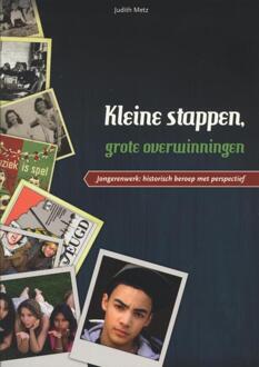 Kleine stappen, grote overwinningen - Boek Judith Metz (9088502099)