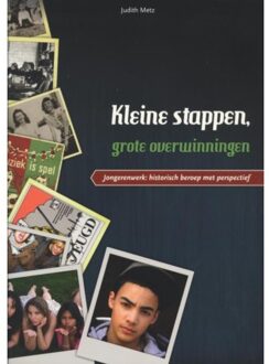 Kleine stappen, grote overwinningen - Boek Judith Metz (9088502099)