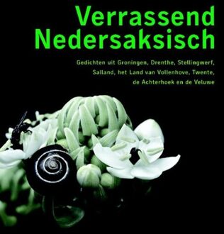 Kleine Uil, Uitgeverij Verrassend Nedersaksisch - eBook Kleine Uil, Uitgeverij (9491065017)