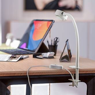 klemlamp Jyla, wit, lens, 3.000 K, GX53