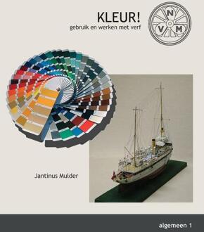 Kleur! Gebruik en werken met verf - Boek Jantinus Mulder (9086161812)