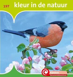 Kleur In De Natuur - De Kijkdoos