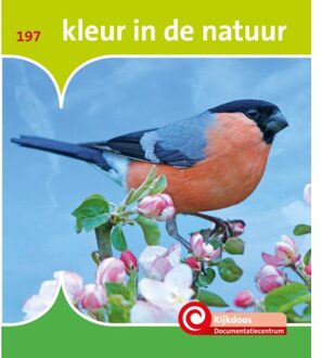 Kleur In De Natuur - De Kijkdoos