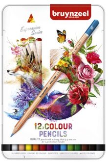 Kleurpotloden Bruynzeel Expression colour blik a 12 stuks assorti