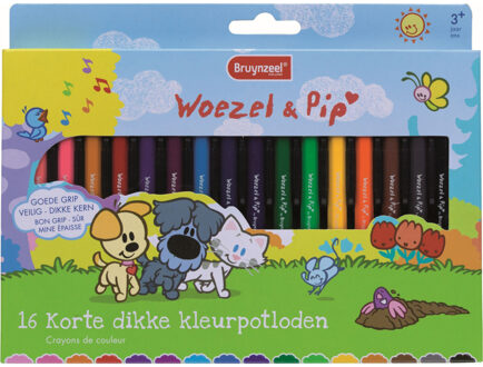 Kleurpotlood Bruynzeel Woezel en Pip dik 16 kleuren