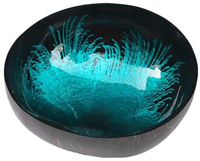 Kleurrijke Kommen Mooie Voedsel Vontainers Kokosnoot Bowls Kokosnoot Kommen Handgemaakte Opslag Dozen Decoraties Keuken Kommen cyaan-blauw
