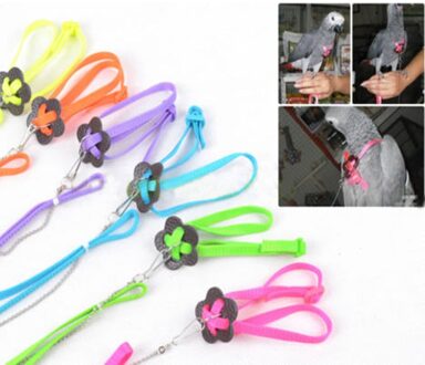 Kleurrijke Papegaai Vogel Kraag Harness Verstelbare Hamster Schildpad Hagedis Trekkabel Reins 8-Vormige Kraag Huisdier Riem Leash oranje