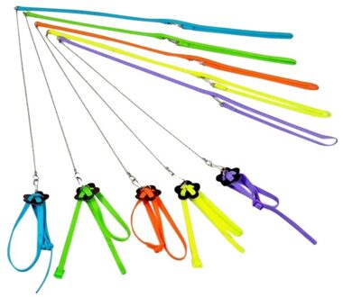 Kleurrijke Papegaai Vogel Leash Outdoor Verstelbare Harness Training Touw Flying Cross Band Willekeurige Kleur