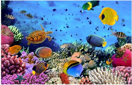 Kleurrijke Print Wandtapijt 360 Graden Steden En Landschappen Tapestry M988 150x150cm