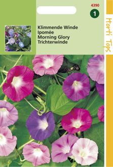 Klimmende Winde Bloemzaad - Purpurea - Gemengd