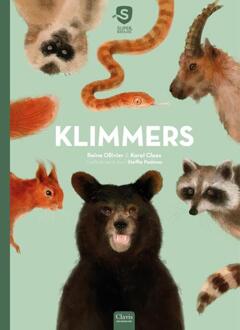 Klimmers - Superbeesjes - Reina Ollivier