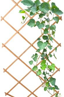 Klimrek Planten - Uitschuifbaar - Trellis - Hout - Tuinlatwerk - 180x90cm Bruin