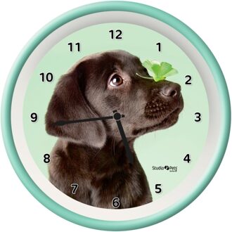 Klok Lucky Lab 25 cm