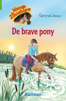 Kluitman Manege de Zonnehoeve De brave pony