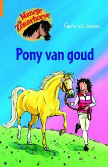 Kluitman Pony van goud - Boek Gertrud Jetten (9020662856)