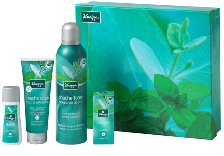 Kneipp Mint-Eucalyptus cadeauset, 4-delig
