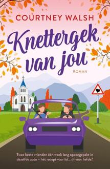 Knettergek van jou -  Courtney Walsh (ISBN: 9789029739528)