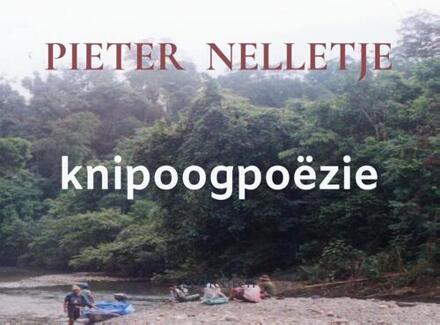 Knipoogpoëzie -  Pieter Nelletje (ISBN: 9789403718897)