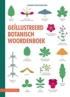 KNNV Uitgeverij Geïllustreerd Botanisch Woordenboek - Corinne Décarpentrie