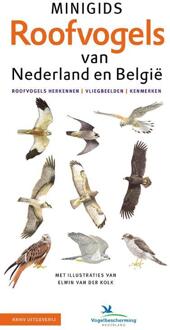 KNNV Uitgeverij Minigids  -   Set Minigids Roofvogels van Nederland en Belgie