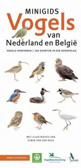 KNNV Uitgeverij Minigids  -   Set Minigids Vogels van Nederland en België