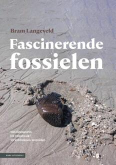 KNNV Uitgeverij Natuurgids Fascinerende fossielen | KNNV Uitgeverij