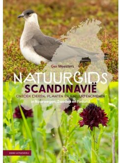 KNNV Uitgeverij Natuurgids Scandinavië - Ger Meesters