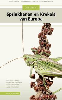 KNNV Uitgeverij Veldgids Sprinkhanen En Krekels Van Europa - - (ISBN:9789050117326)