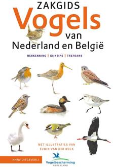 KNNV Uitgeverij Zakgids Vogels Van Nederland En België - Luc Hoogenstein