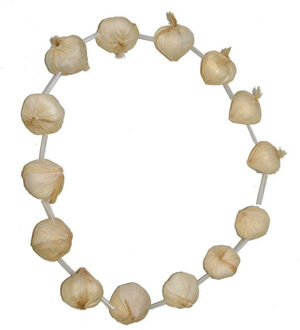Knoflook ketting - Carnaval verkleed spullen Fransman/Dracula thema