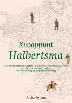 Knooppunt Halbertsma - Boek Abel de Jong (9087041349)